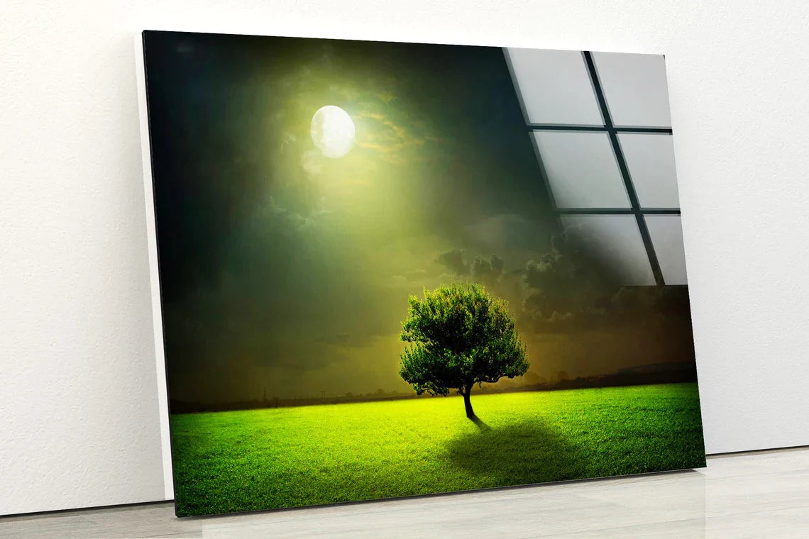 Moon Light on Tree UV Direct Aluminum Print Australian Made Quality