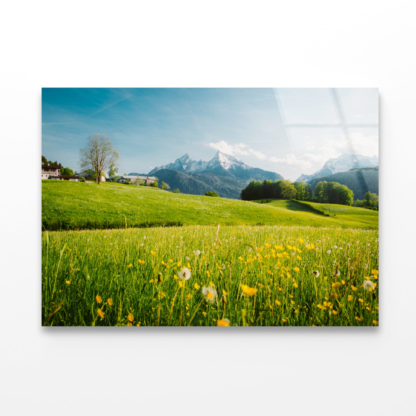 Blooming Meadows with Mountains in springtime Acrylic Glass Print Tempered Glass Wall Art 100% Made in Australia Ready to Hang