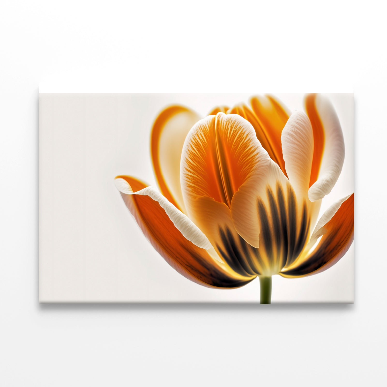 Tulips in Close-Up View Print 100% Australian Made - Bella Home Decor
