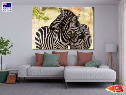 Pair of Zebra Standing Near Tree Print 100% Australian Made