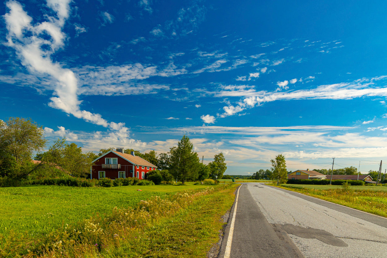 A Rural Road with Grass and Trees under a Cloudy Sky Home Decor Premium Quality Poster Print Choose Your Sizes - Bella Home Decor