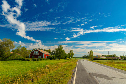 A Rural Road with Grass and Trees under a Cloudy Sky Home Decor Premium Quality Poster Print Choose Your Sizes - Bella Home Decor