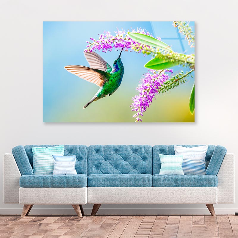 Hummingbird Violet Sabrewing Flying  Acrylic Glass Print Tempered Glass Wall Art 100% Made in Australia Ready to Hang - Bella Home Decor