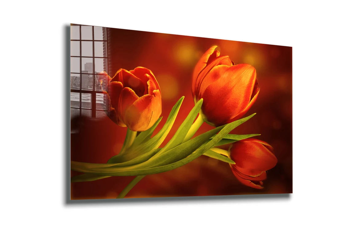 Red Orange Tulips View UV Direct Aluminum Print Australian Made Quality