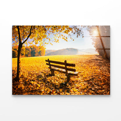 Herbstlandschaft Mit Sonnenschein Acrylic Glass Print Tempered Glass Wall Art 100% Made in Australia Ready to Hang