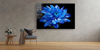 Blue Flower Bloom View UV Direct Aluminum Print Australian Made Quality