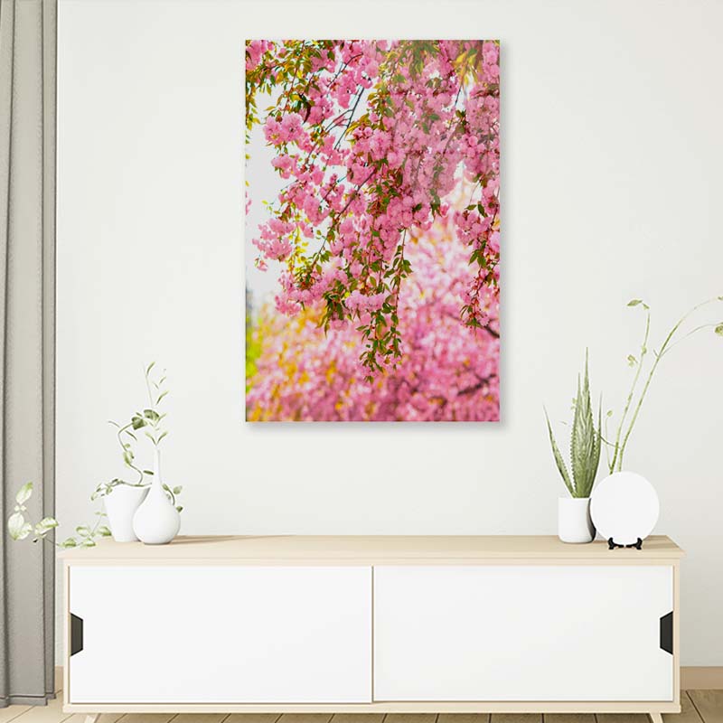 Lush Blossom of Sakura Acrylic Glass Print Tempered Glass Wall Art 100% Made in Australia Ready to Hang