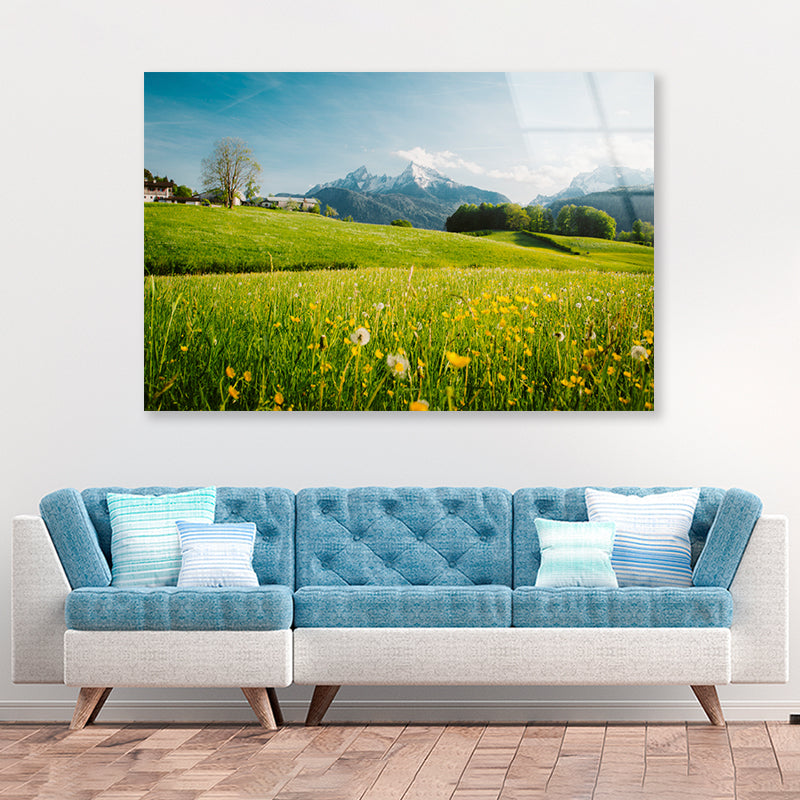 Blooming Meadows with Mountains in springtime Acrylic Glass Print Tempered Glass Wall Art 100% Made in Australia Ready to Hang