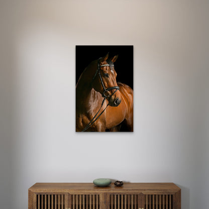 Brown Thoroughbred Horse Head 40x60cm Metal Print Ready to Hang