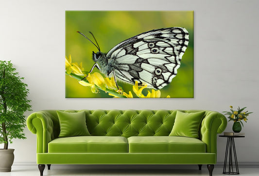 Galathea Butterfly at Sunset Wall Art Decor 100% Australian Made - Bella Home Decor
