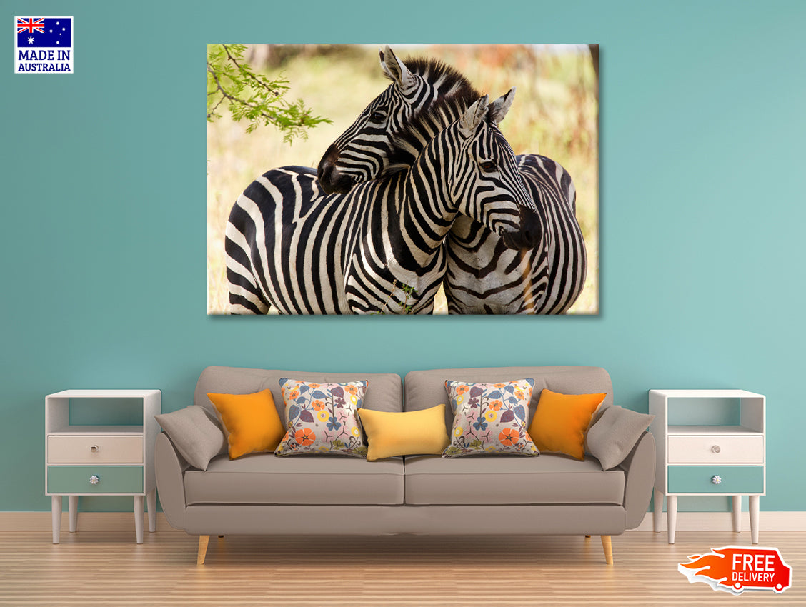 Pair of Zebra Standing Near Tree Print 100% Australian Made