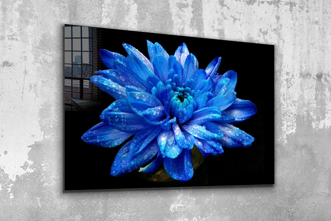 Blue Flower Bloom View UV Direct Aluminum Print Australian Made Quality