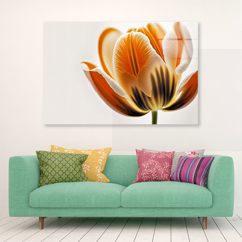 Tulips in Close-Up View Acrylic Glass Print Tempered Glass Wall Art 100% Made in Australia Ready to Hang - Bella Home Decor
