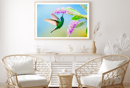 Hummingbird Violet Sabrewing Flying Home Decor Premium Quality Poster Print Choose Your Sizes