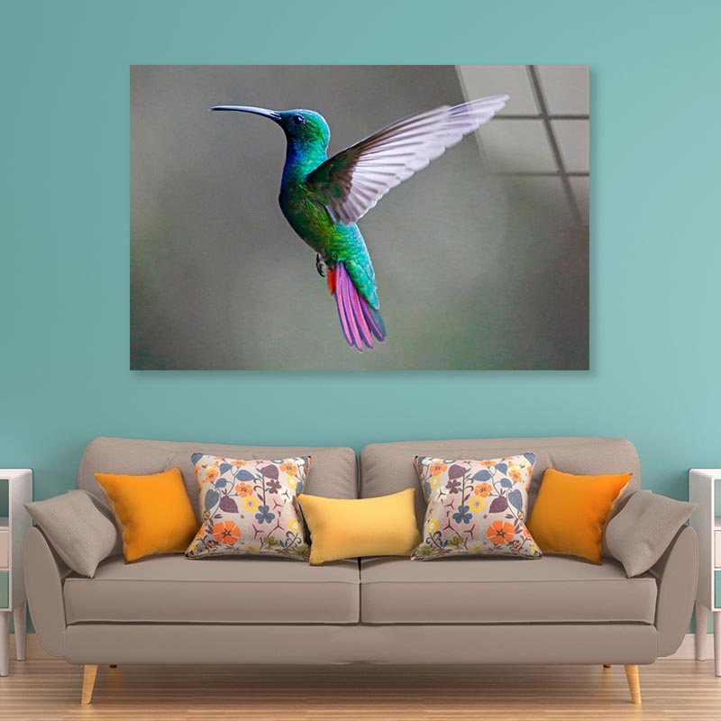 Green-Breasted Mango Female  Acrylic Glass Print Tempered Glass Wall Art 100% Made in Australia Ready to Hang - Bella Home Decor