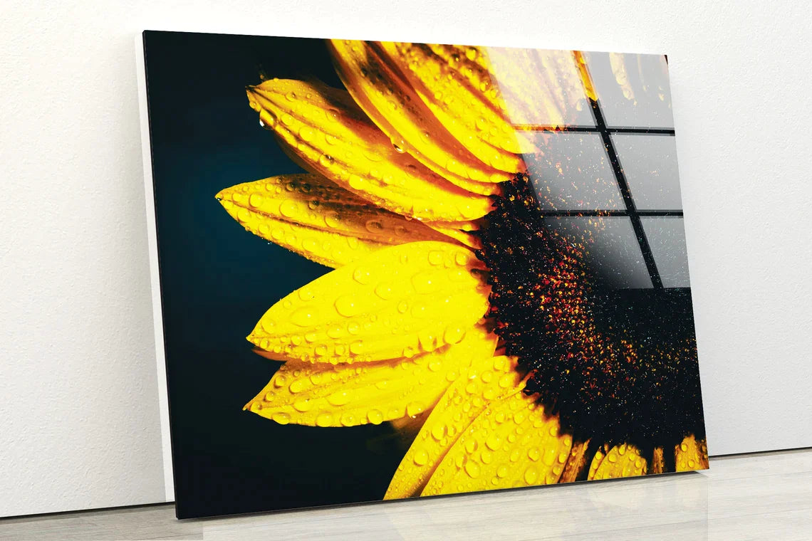 Sunflower Closeup UV Direct Aluminum Print Australian Made Quality