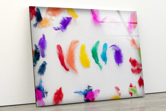 Colorful Feathers View UV Direct Aluminum Print Australian Made Quality
