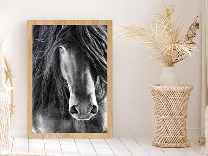 Black Horse Face Closeup Photograph Glass Framed Wall Art, Ready to Hang Quality Print Without White Border Oak