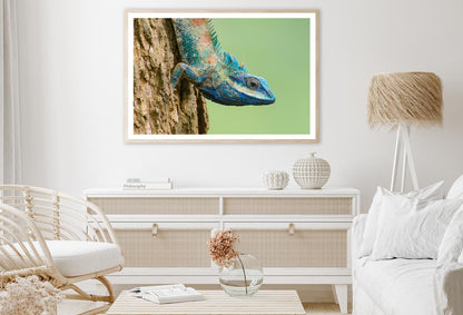 Lue Lizard with Big Eyes in Closed Up Details,Home Decor Premium Quality Poster Print Choose Your Sizes