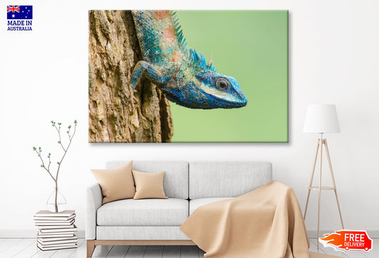 Lue Lizard with Big Eyes in Closed Up Details Wall Art Decor 100% Australian Made