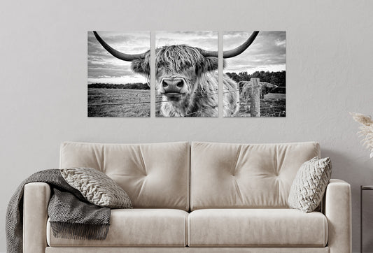 3pcs Highland Cow Black and White Closeup Wall Art Set Canvas Framed 40x60cm - High Quality Print 100% Australian Made Wall Canvas Ready to Hang