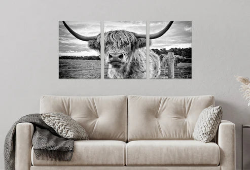 3pcs Highland Cow Black and White Closeup Wall Art Set Canvas Unframed - High Quality Print 100% Australian Made Wall Canvas