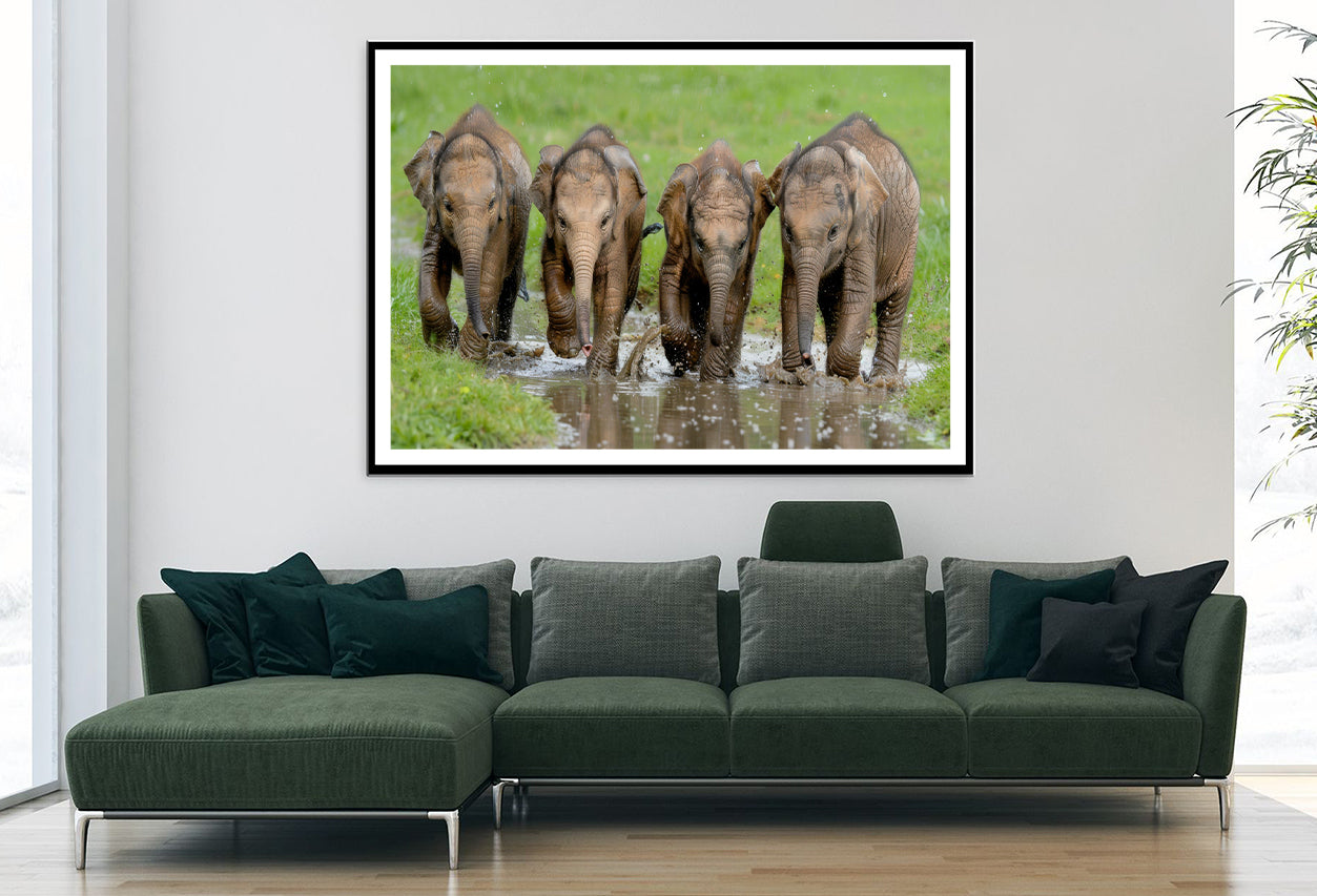 A Group of Elephants Peacefully Grazing Home Decor Premium Quality Poster Print Choose Your Sizes - Bella Home Decor