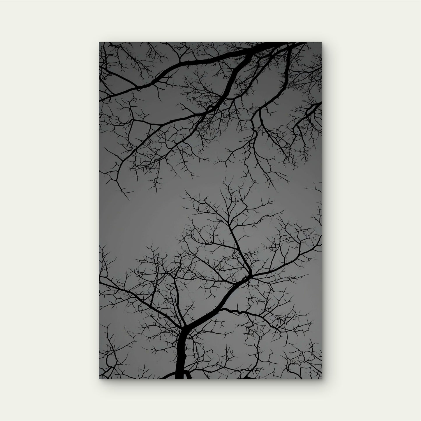 Gothic Spooky Bare Tree Branch Silhouette 40x60cm Metal Print Ready to Hang