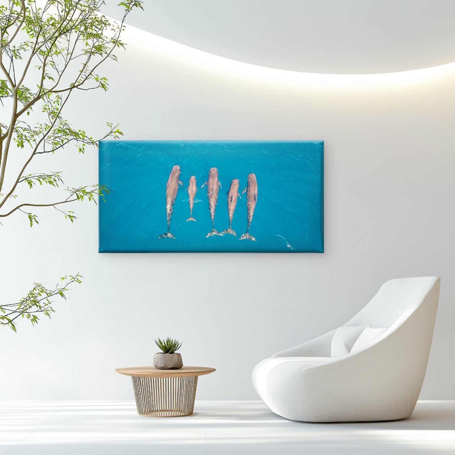 Aerial Dolphin Pod Australia Wall Art Canvas Office Home Room Framed 120x60cm