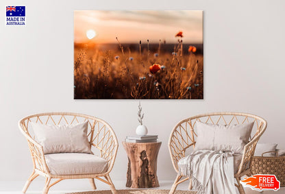 Red Poppy Flower In Field Sunset Print 100% Australian Made