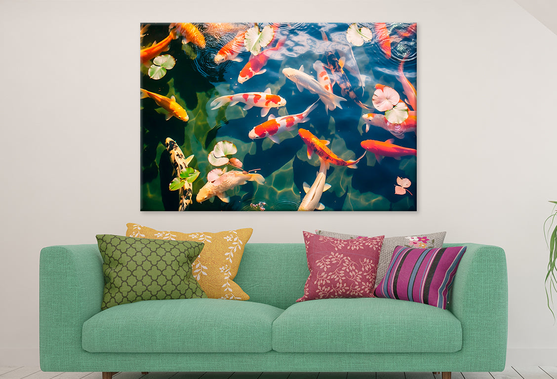 Colorful Koi Fish in Pond Wall Art Decor 100% Australian Made - Bella Home Decor