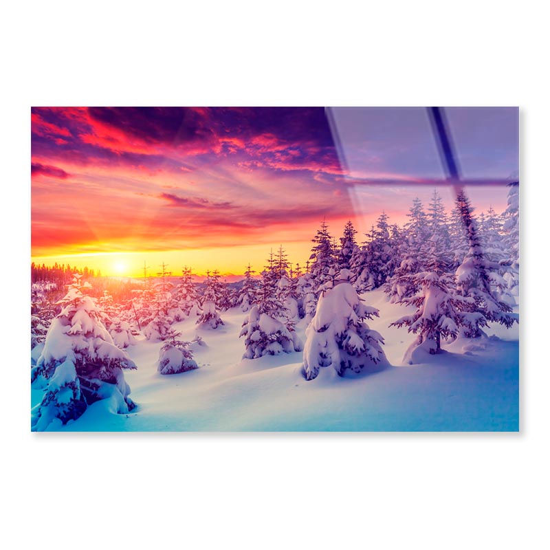 Winter Landscape with Spruce Trees  Acrylic Glass Print Tempered Glass Wall Art 100% Made in Australia Ready to Hang