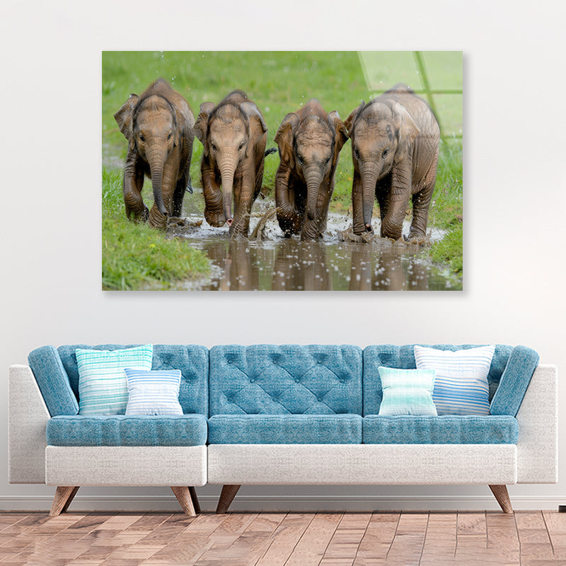 A Group of Elephants Peacefully Grazing Acrylic Glass Print Tempered Glass Wall Art 100% Made in Australia Ready to Hang