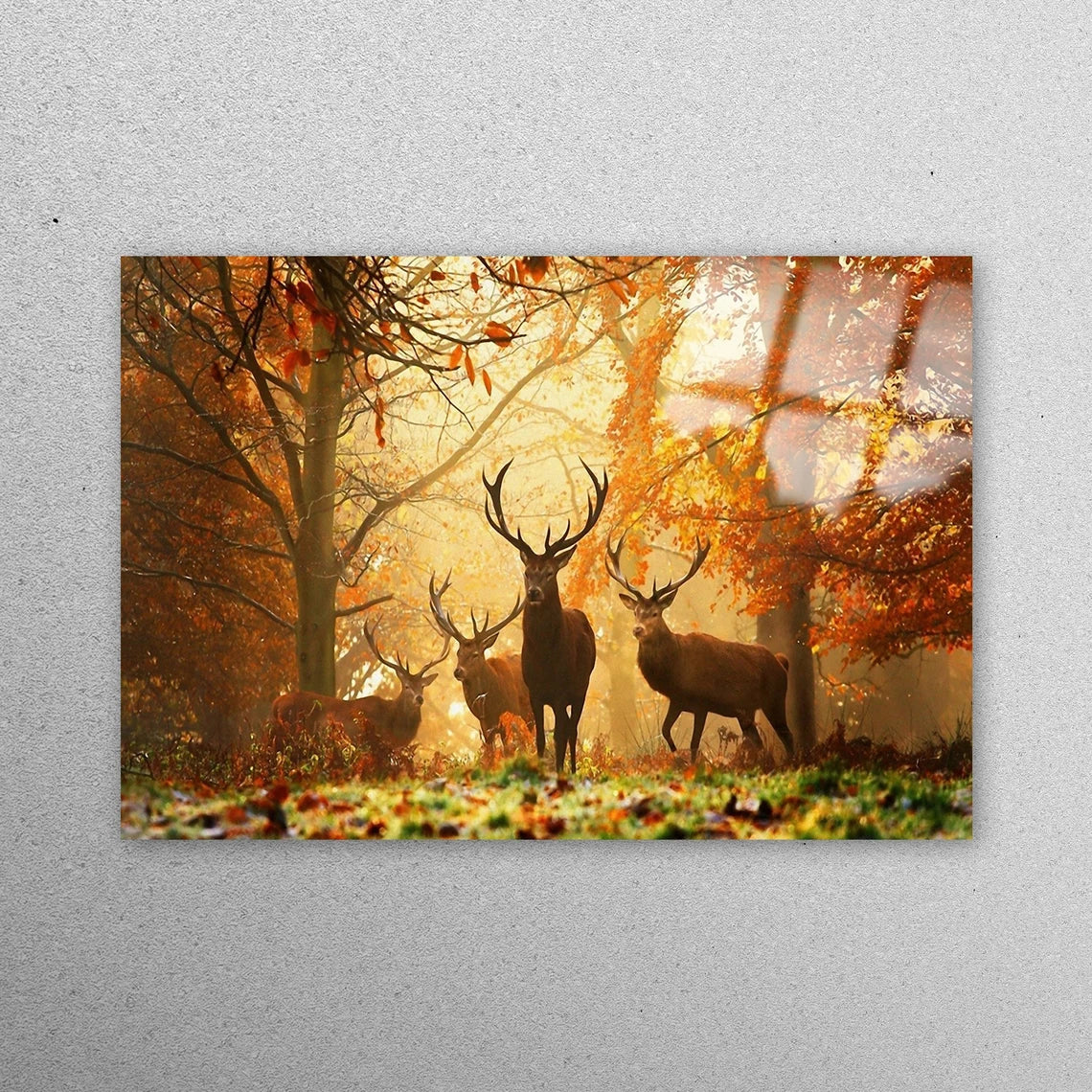 Deer In Forest Painting Acrylic Glass Print Tempered Glass Wall Art 100% Made in Australia Ready to Hang