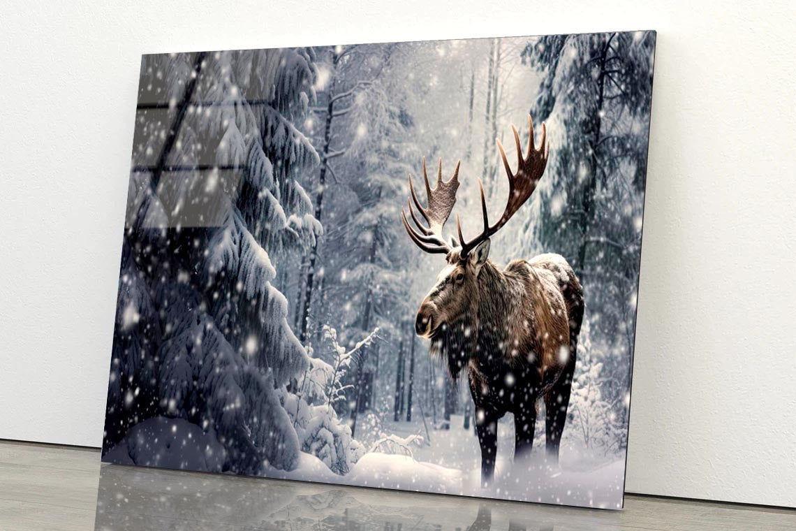 Moose In a Snow-Covered Forest  Acrylic Glass Print Tempered Glass Wall Art 100% Made in Australia Ready to Hang