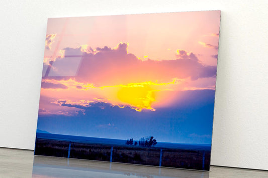 Grassland at Sunset Acrylic Glass Print Tempered Glass Wall Art 100% Made in Australia Ready to Hang