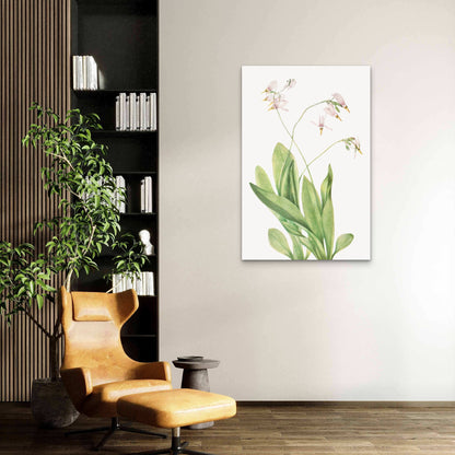 Pink Wildflower Plant Sketch 40x60cm Metal Print Ready to Hang