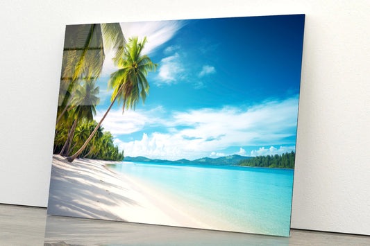 Beach with Palm Trees & a Clear Sky Acrylic Glass Print Tempered Glass Wall Art 100% Made in Australia Ready to Hang