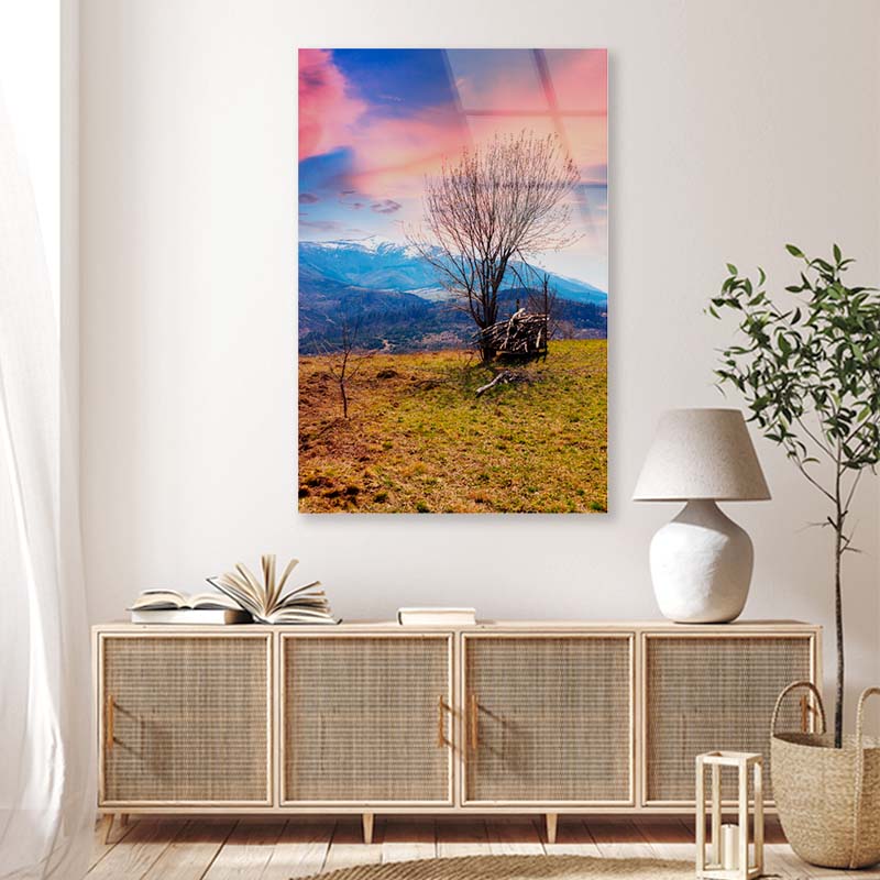 Lonely Leafless Tree Acrylic Glass Print Tempered Glass Wall Art 100% Made in Australia Ready to Hang