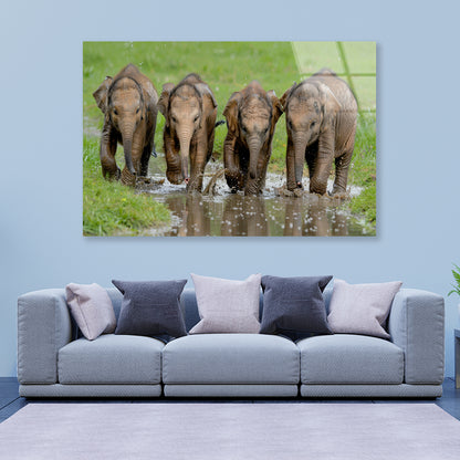 A Group of Elephants Peacefully Grazing Acrylic Glass Print Tempered Glass Wall Art 100% Made in Australia Ready to Hang