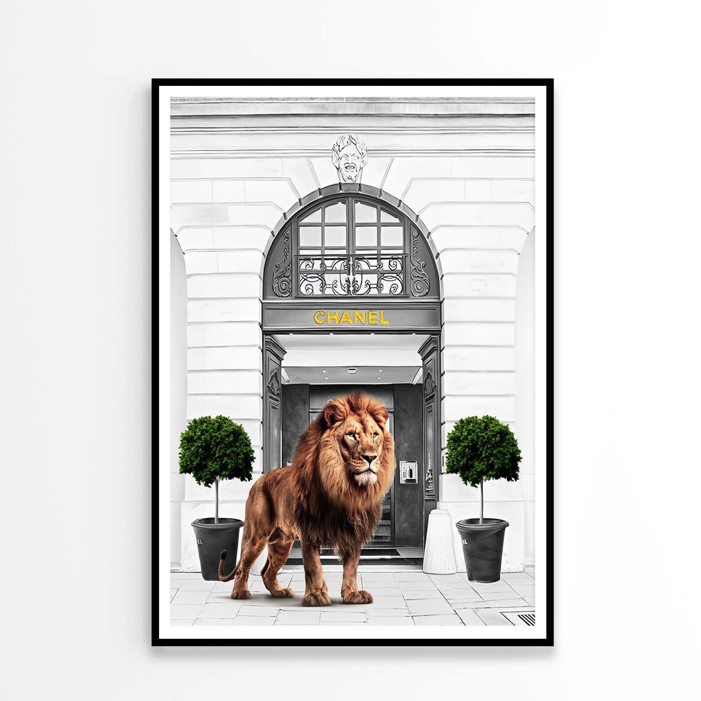 Black And White Fashion Store with Lion Design Home Decor Premium Quality Poster Print Choose Your Sizes