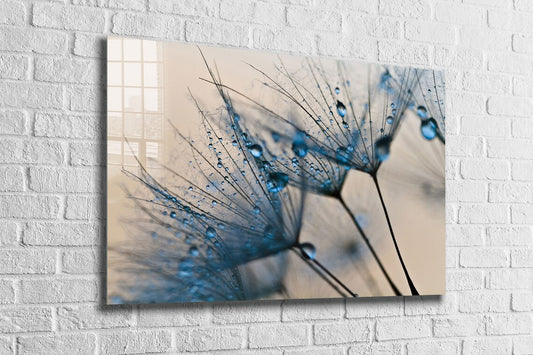 Dandelion Abstract View UV Direct Aluminum Print Australian Made Quality