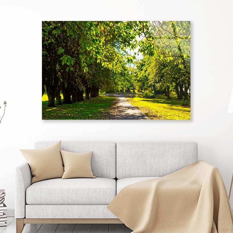 A Line of Trees Acrylic Glass Print Tempered Glass Wall Art 100% Made in Australia Ready to Hang