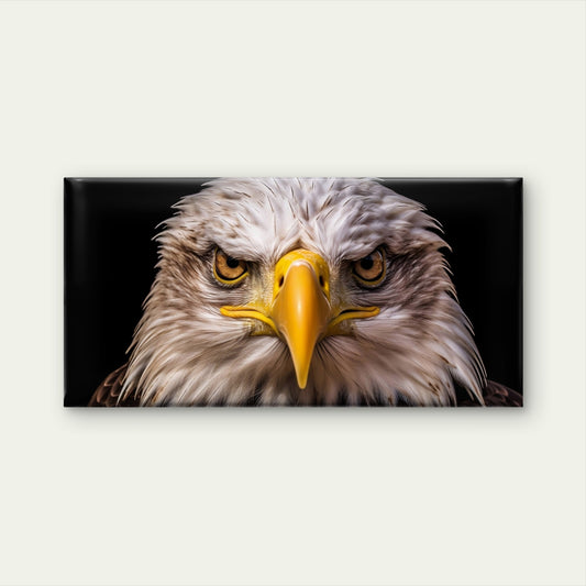 American Bald Eagle Head Close Up Majestic Bird Wall Art Canvas Office Home Room Framed 120x60cm