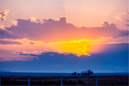 Grassland at Sunset Home Decor Premium Quality Poster Print Choose Your Sizes