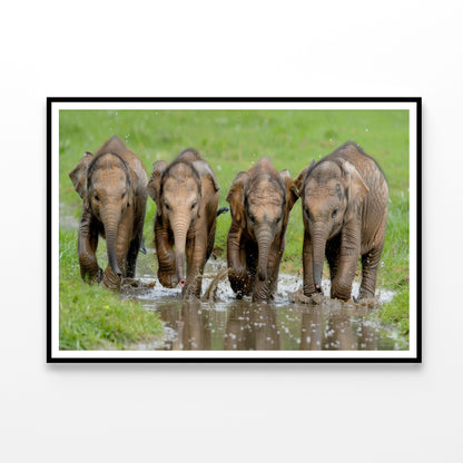 A Group of Elephants Peacefully Grazing Home Decor Premium Quality Poster Print Choose Your Sizes - Bella Home Decor