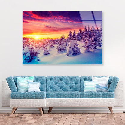 Winter Landscape with Spruce Trees  Acrylic Glass Print Tempered Glass Wall Art 100% Made in Australia Ready to Hang