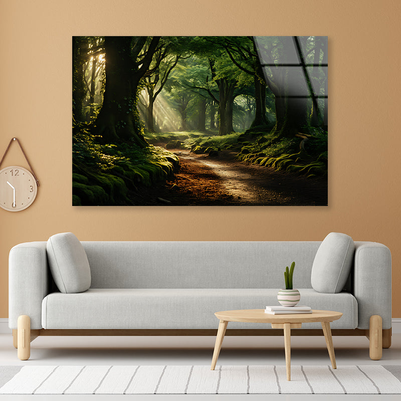 Morning in the Woods Acrylic Glass Print Tempered Glass Wall Art 100% Made in Australia Ready to Hang - Bella Home Decor