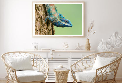 Lue Lizard with Big Eyes in Closed Up Details,Home Decor Premium Quality Poster Print Choose Your Sizes