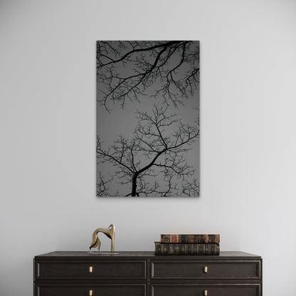 Gothic Spooky Bare Tree Branch Silhouette 40x60cm Metal Print Ready to Hang
